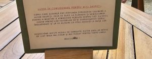 Această cerință vine în contextul în care localul se declară prietenos cu animalele de companie, dar impune reguli stricte pentru comportamentul copiilor.