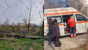 Activist bătut în Parcul IOR de către cei care defrișează zona retrocedată. Violențele asupra activiștilor cresc, în timp ce autoritățile rămân pasive.